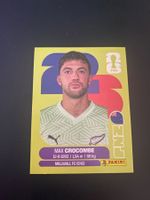 Panini FIFA World Cup Sticker NZL 2